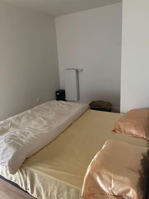 Grand Appartement Entier Situe A Aulnay-Sous-Bois Εξωτερικό φωτογραφία
